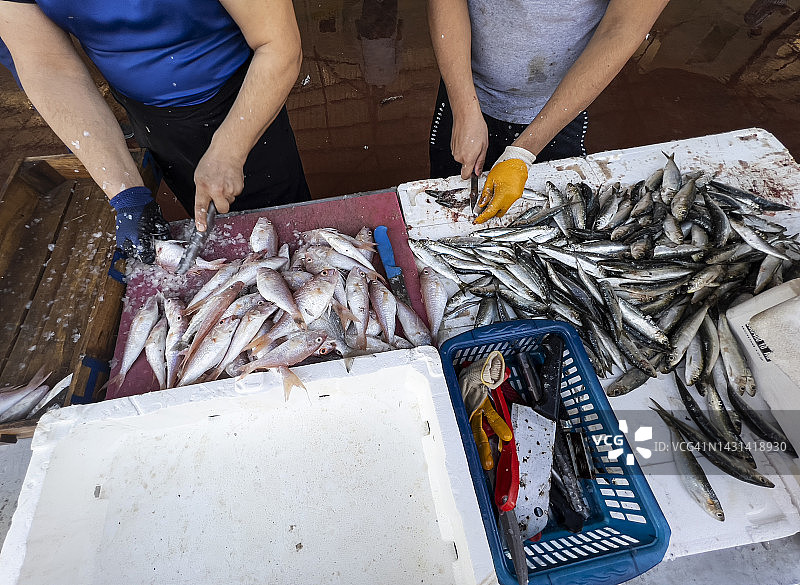 土耳其安塔利亚当地鱼市上清理鱼的渔民图片素材