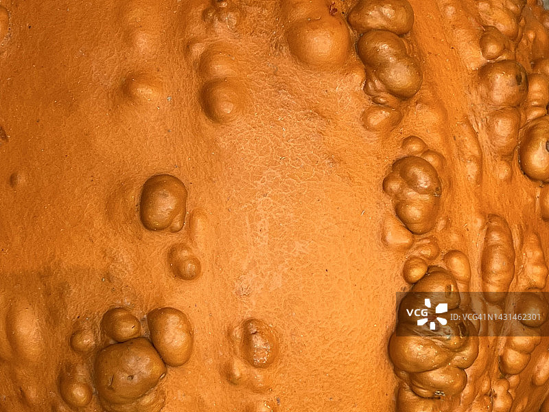 橙色凹凸葫芦的特写镜头图片素材