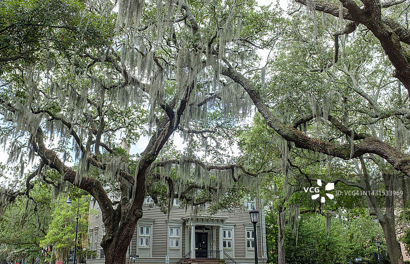 佐治亚州萨凡纳市中心的城镇广场图片素材