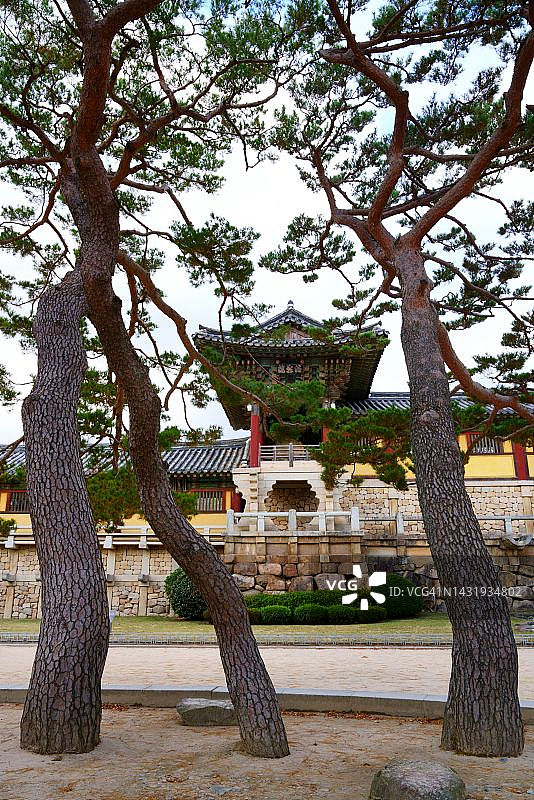 树木与梵鱼楼图片素材