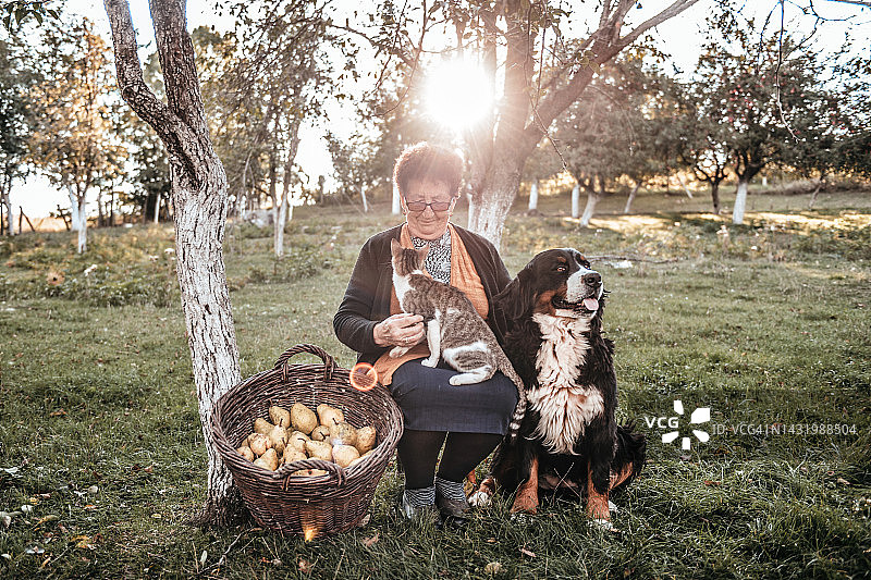 年长的女人和她的宠物图片素材