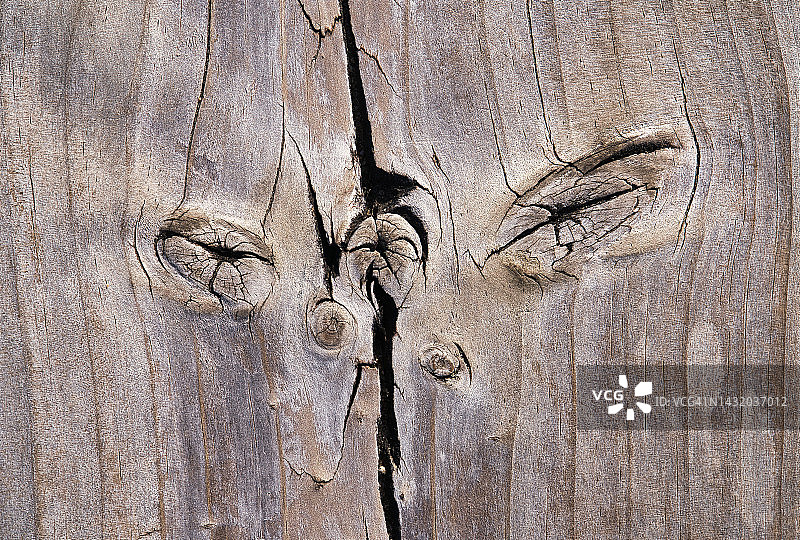 木板中两个饱经风霜的结图片素材