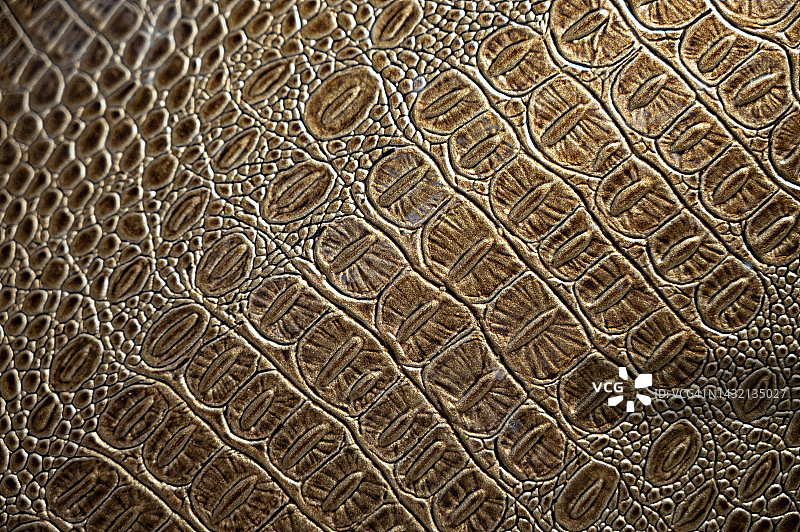 鳄鱼皮图案真皮纹理背景图片素材