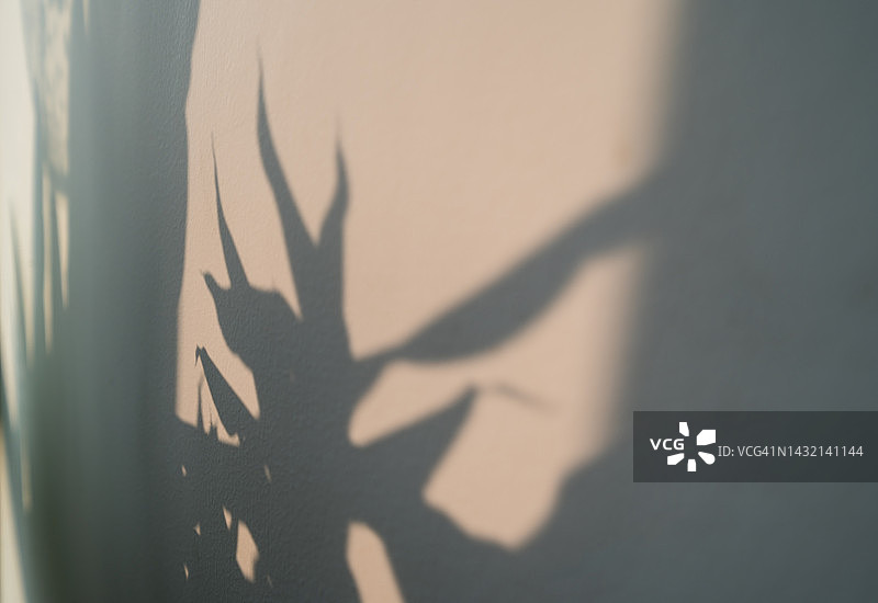 墙上的竹子影子图片素材