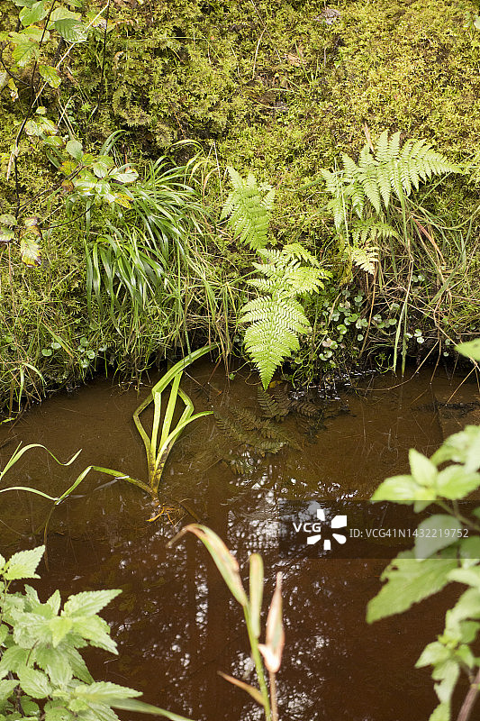 排水沟中的流水图片素材