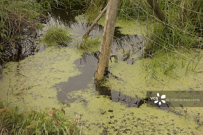排水沟中的流水图片素材