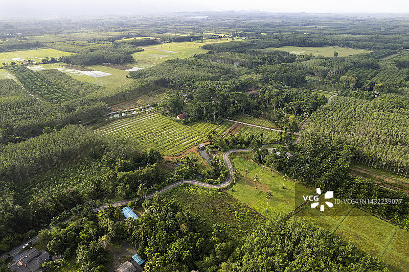 天空下的稻田与耕地景观图片素材