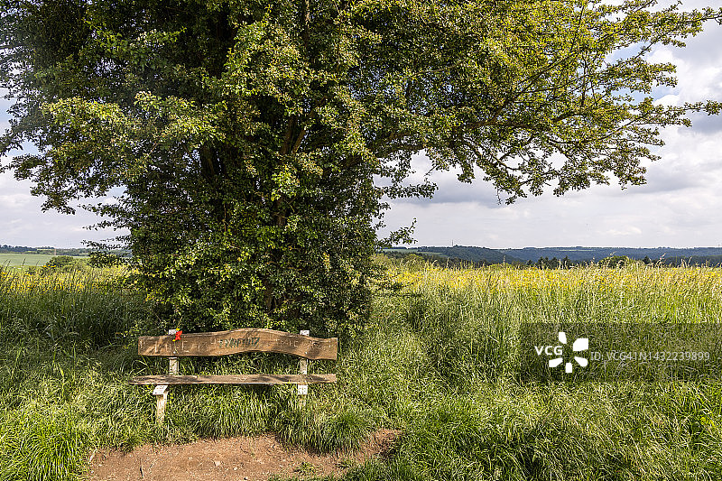 大型山楂树下的长椅图片素材