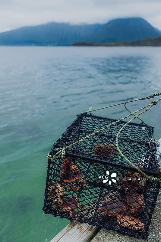 男人在挪威海边捕蟹，远处是山景图片素材