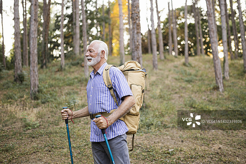 年长的男人在徒步旅行中使用登山杖图片素材