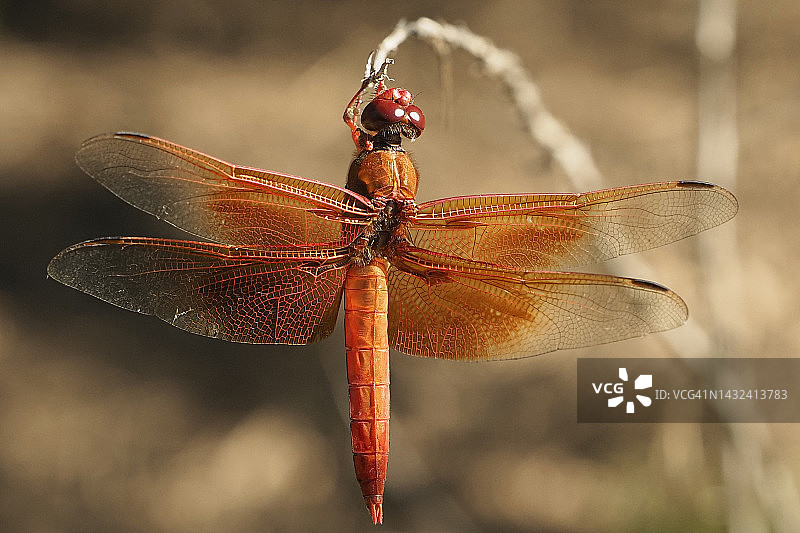 我的聚会照片图片素材