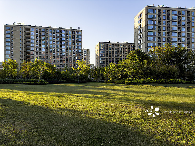 阳光染黄草坪图片素材