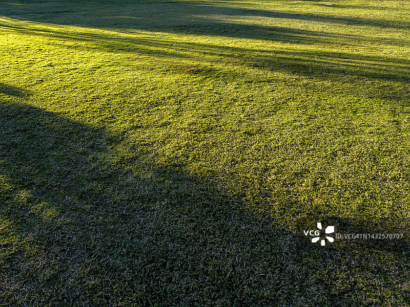 阳光洒在草坪上图片素材