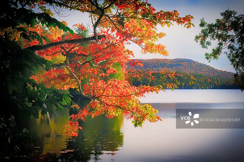 纽约州北部普莱西德湖附近阿迪朗达克山脉穆斯塘池塘的秋叶图片素材