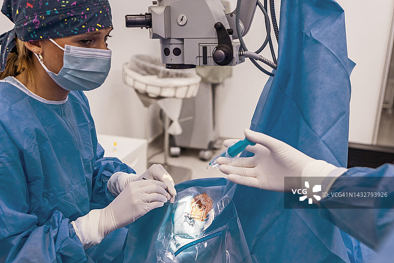 眼科外科医生工作图片素材