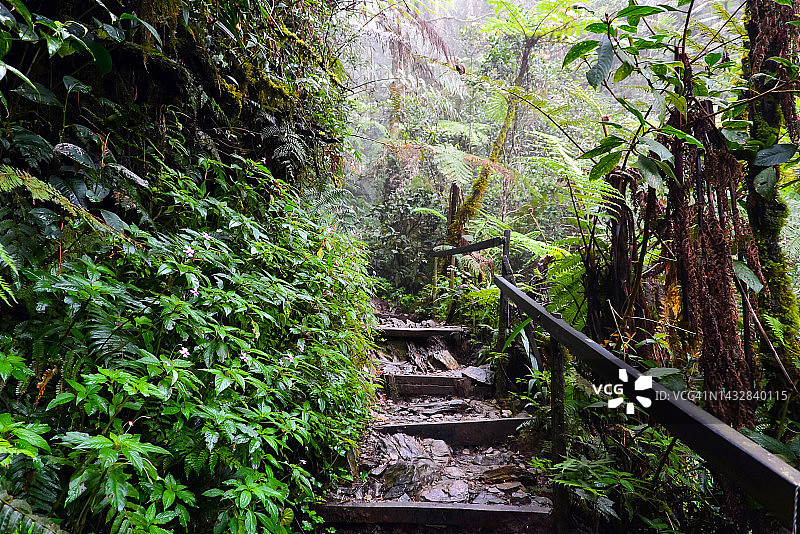 马来西亚沙巴州基纳巴卢山顶峰小径图片素材