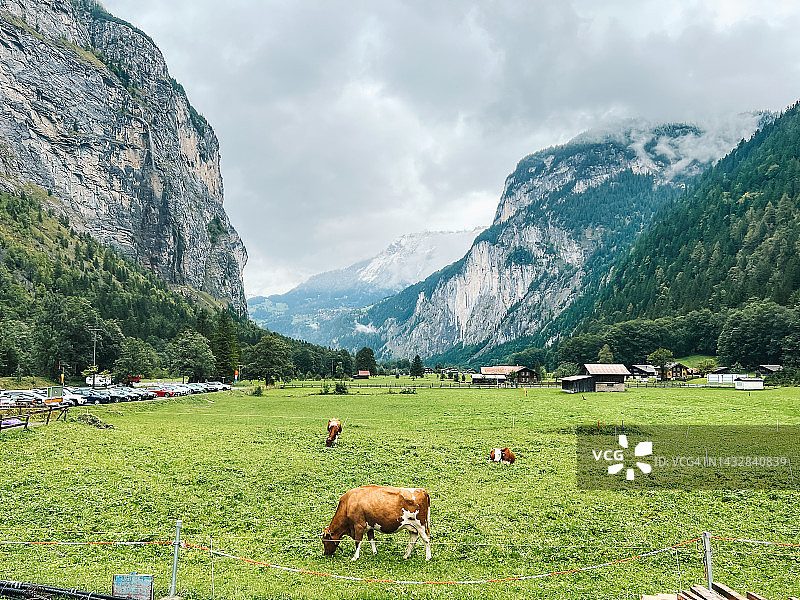 瑞士因特拉肯小镇的农场图片素材