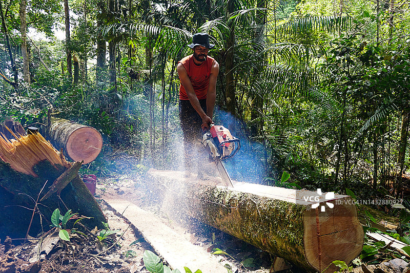男子在森林里用电锯砍树木。森林砍伐 - 股票照片图片素材