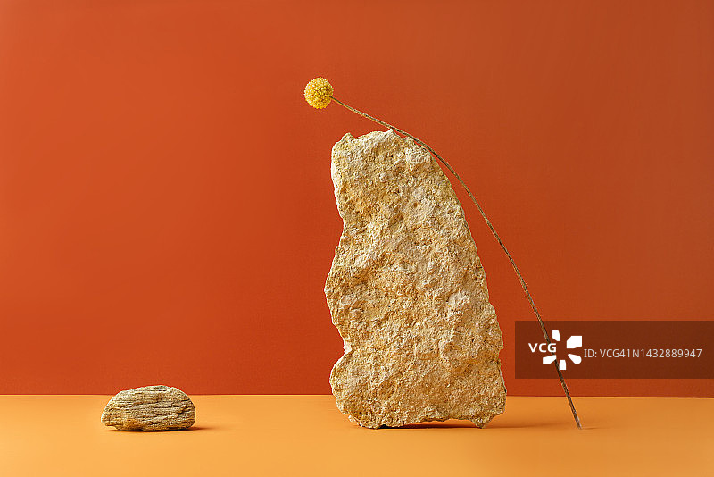 产品展示：亮黄色和橙红色背景图片素材