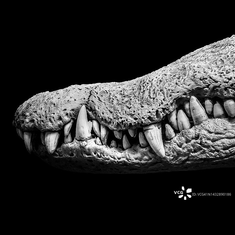 怪物嘴巴图片素材