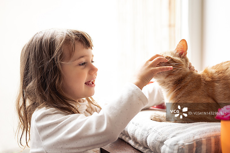 小女孩在室内窗边和小猫玩耍图片素材