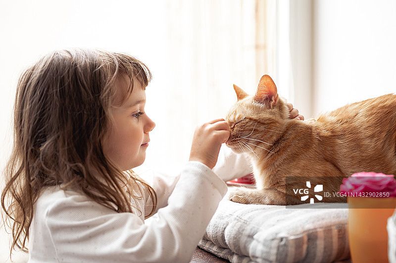 女孩喂一只姜黄色的猫。孩子在家里的窗户附近和猫玩耍。可爱的小女孩和她的宠物。图片素材