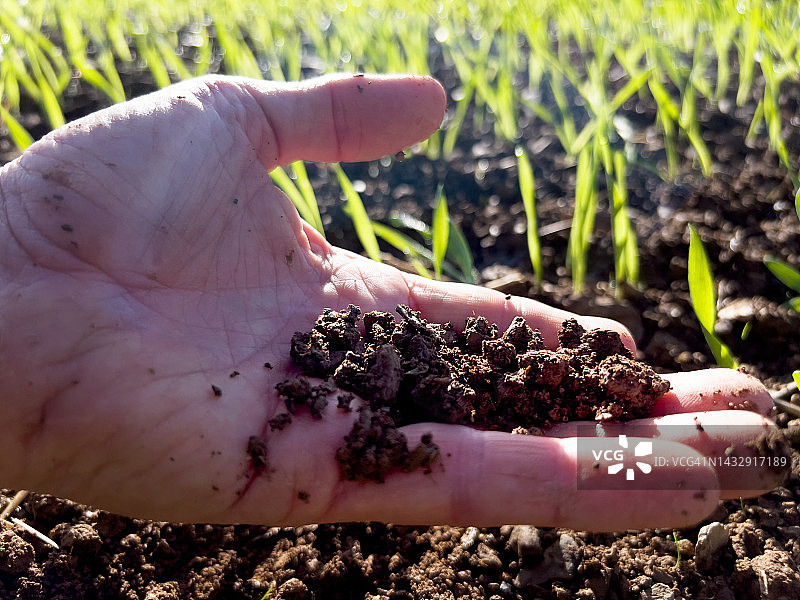 手持农田土壤图片素材