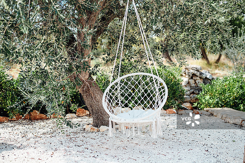 阳光下悬挂在树上的秋千椅图片素材