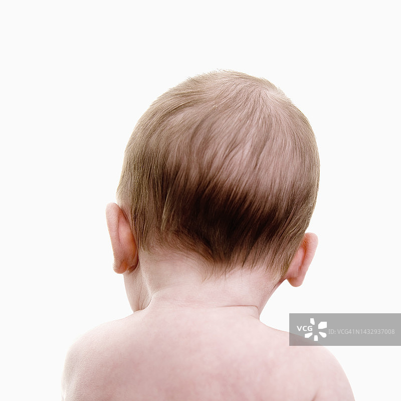 婴儿的后脑勺图片素材