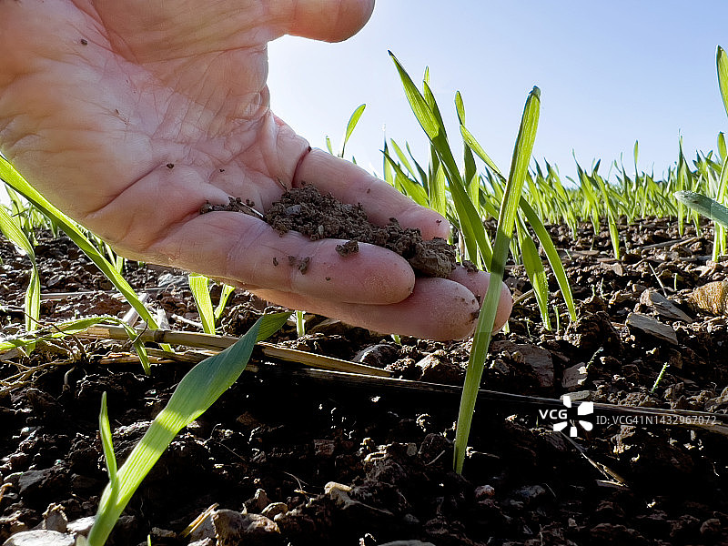 手持农田土壤图片素材
