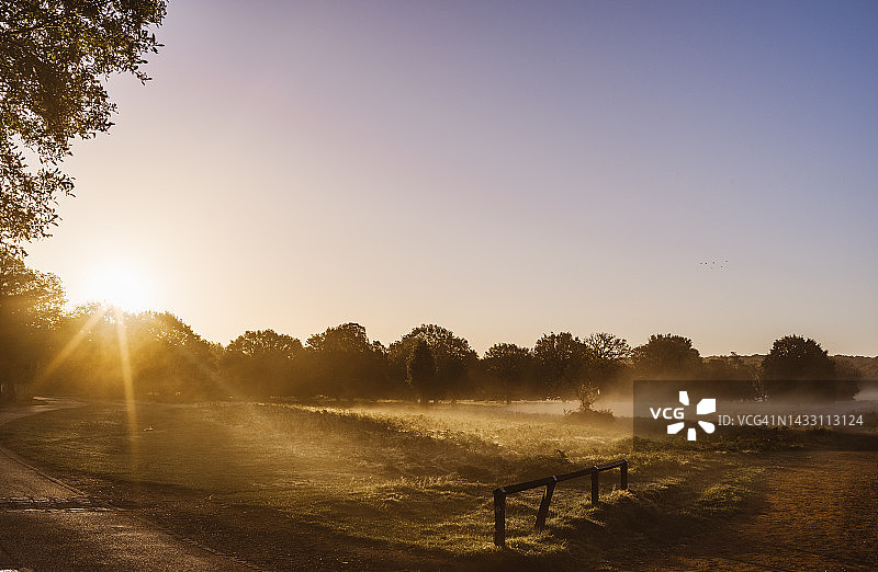 伦敦公园的日出图片素材