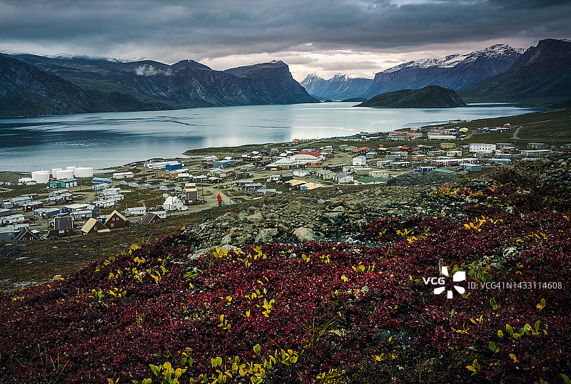 庞尼通图片素材