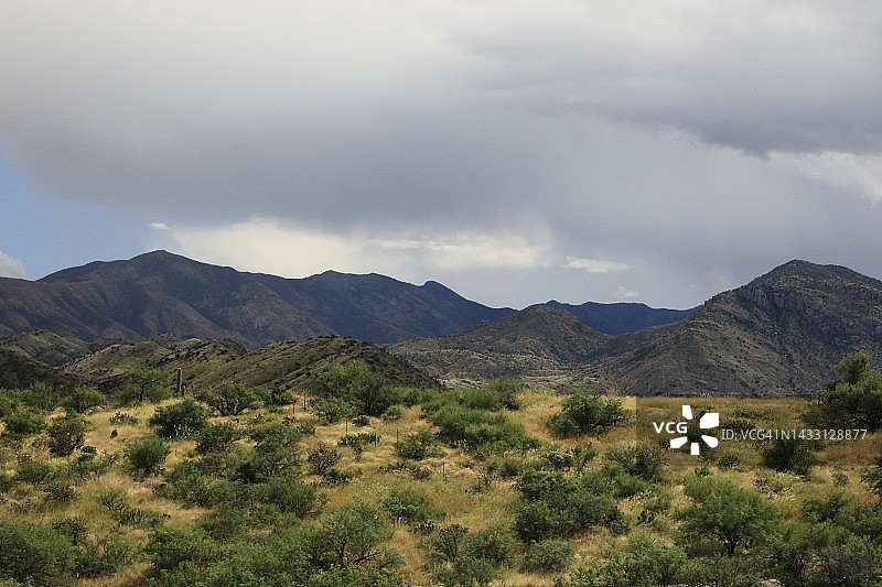 仙人掌国家公园图片素材