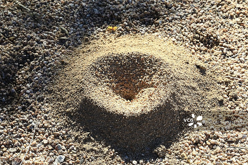 沙漠中的蚁丘图片素材