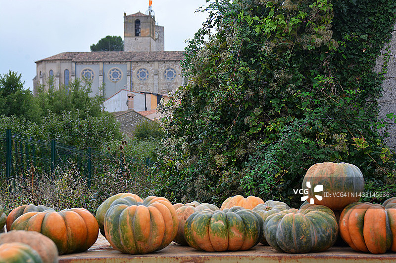 法国的南瓜市场图片素材