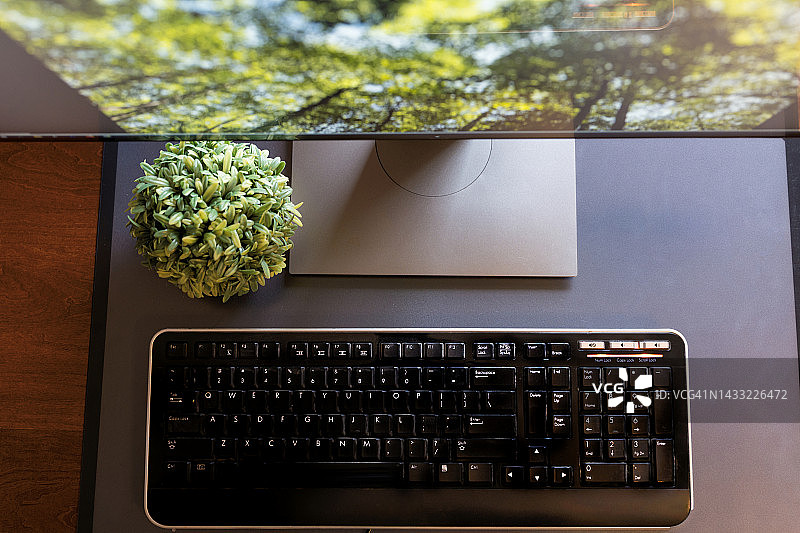 桌面电脑和绿植图片素材