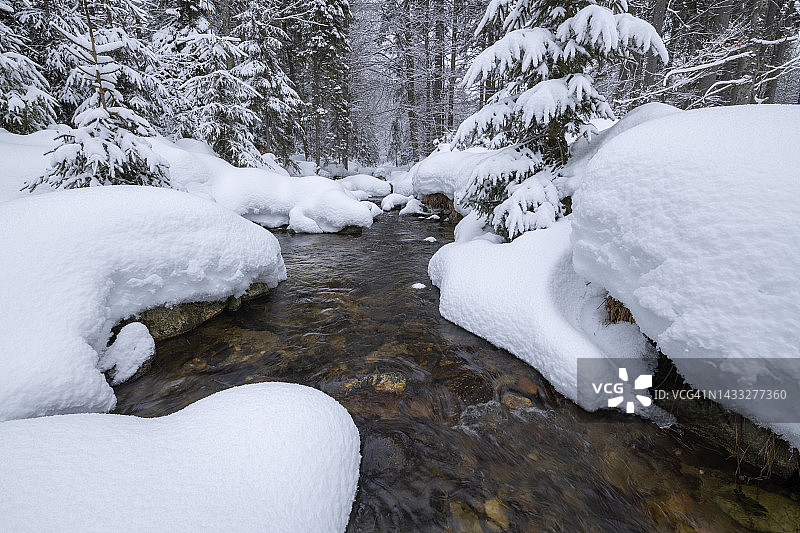 冬季巴伐利亚森林国家公园的小奥厄山溪，白雪皑皑（德国）图片素材