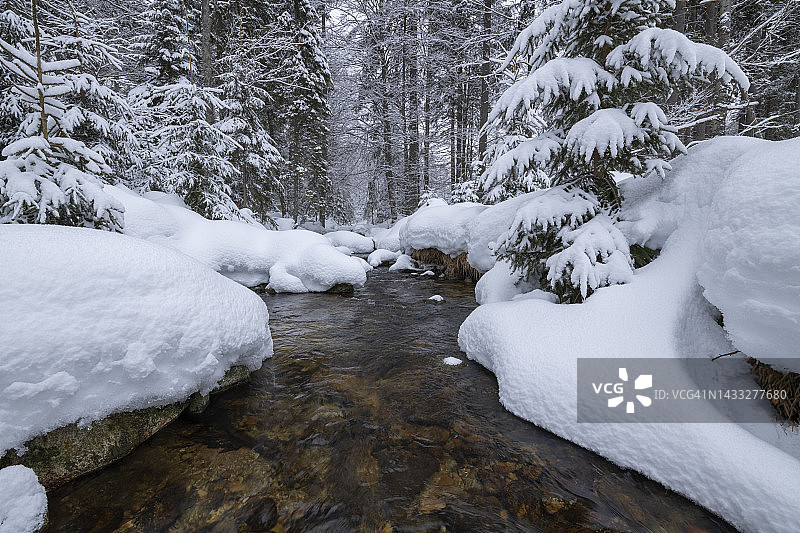 冬季巴伐利亚森林国家公园的小奥厄山溪，白雪皑皑（德国）图片素材