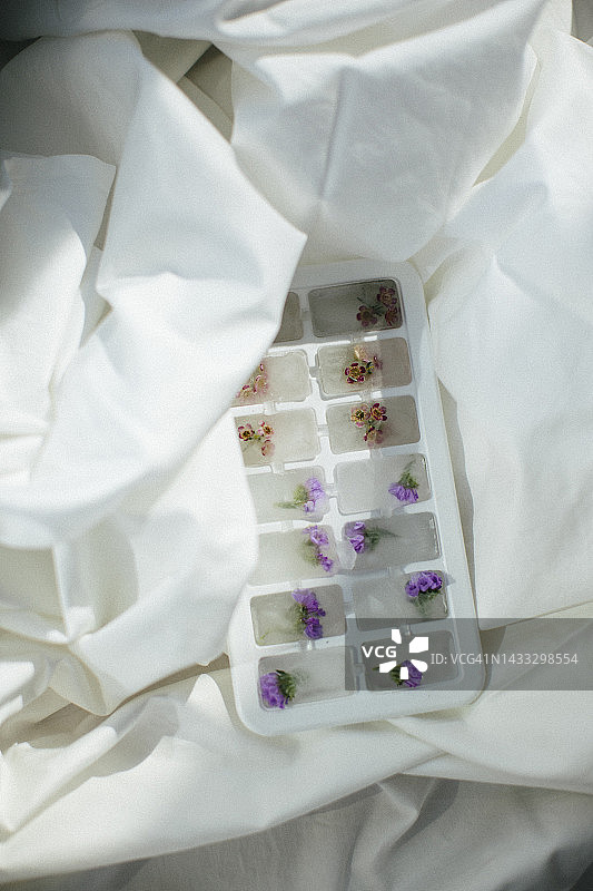 冰块中冷冻的鲜花，放置在白色薄纸上图片素材