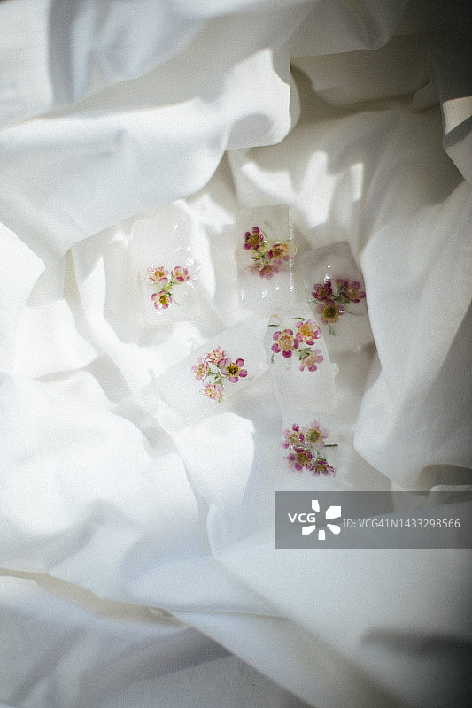 冰块中冷冻的鲜花，放置在白色薄纸上图片素材