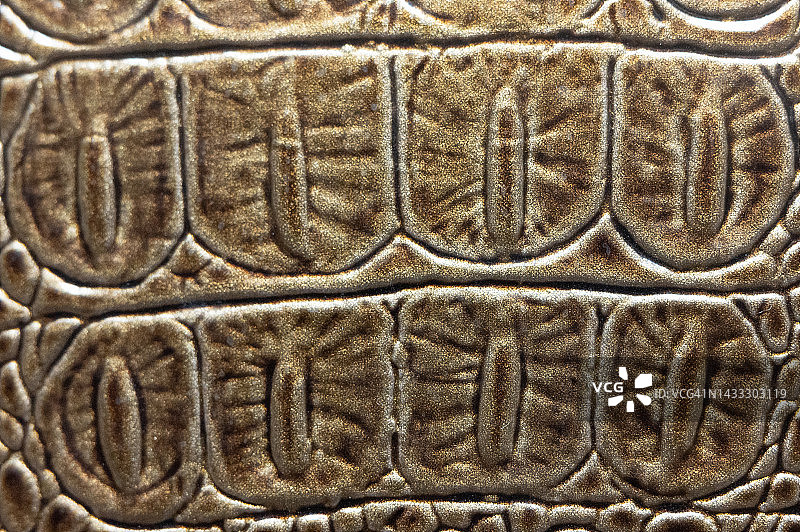 鳄鱼皮图案真皮纹理背景图片素材