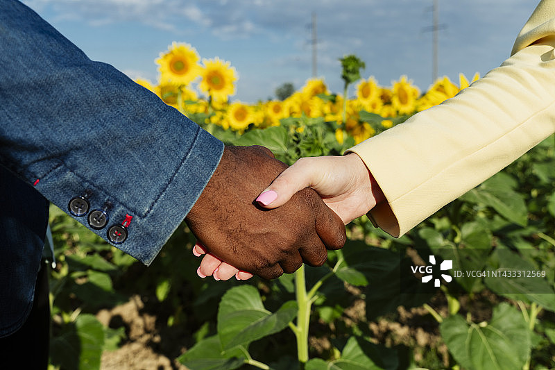 商务人士在植物前握手图片素材