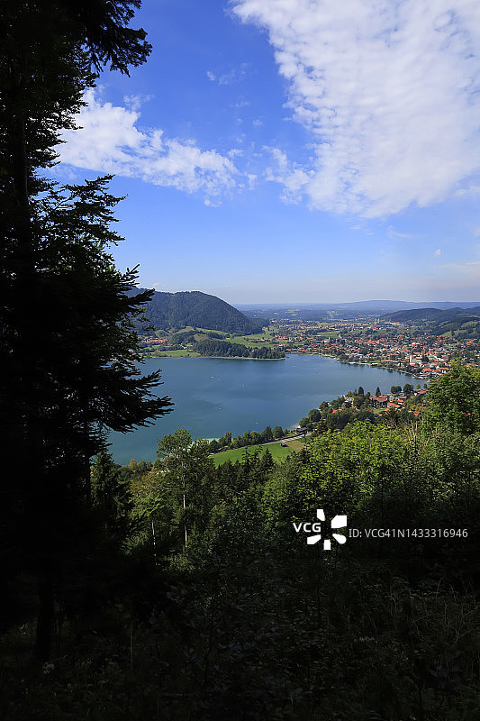 德国巴伐利亚州施利尔湖：夏季俯瞰施利尔湖的树林图片素材