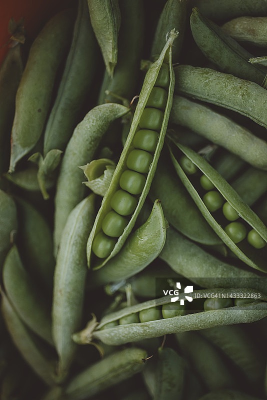 未煮熟的青豌豆荚图片素材