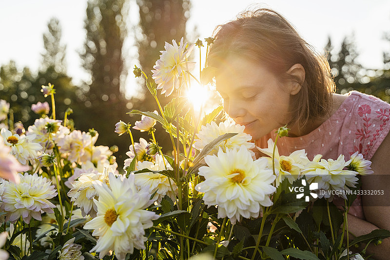 在花园里闻花的女人图片素材