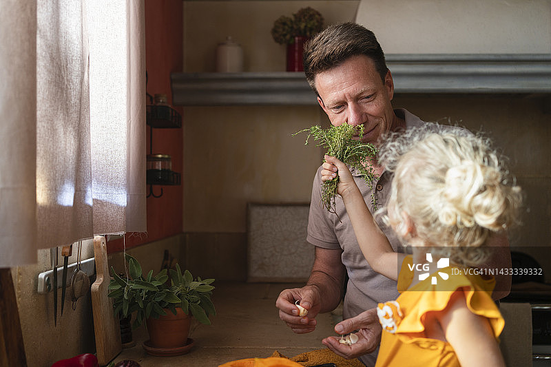 在厨房里，女孩拿着百里香让父亲闻图片素材