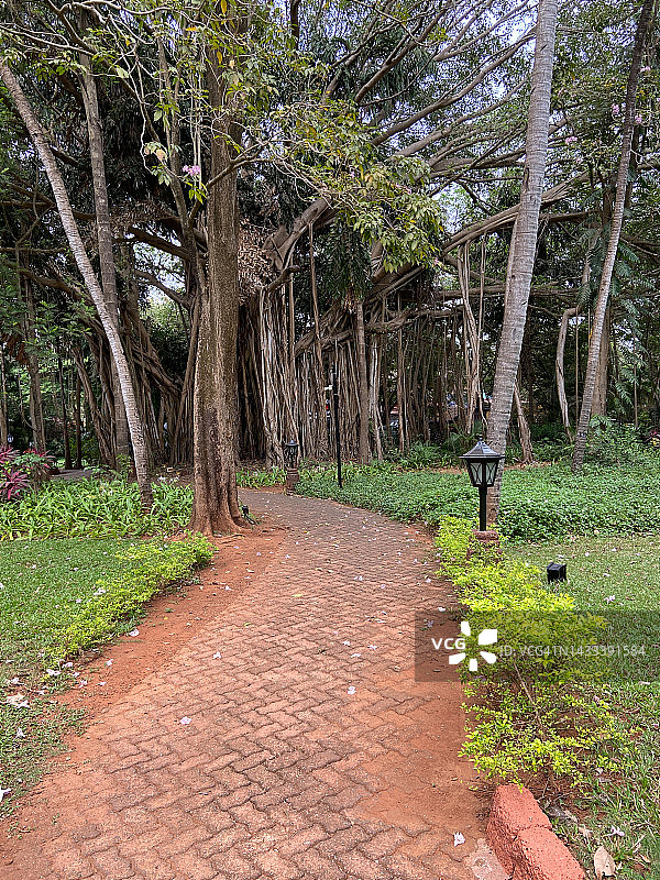 花园小径图片素材