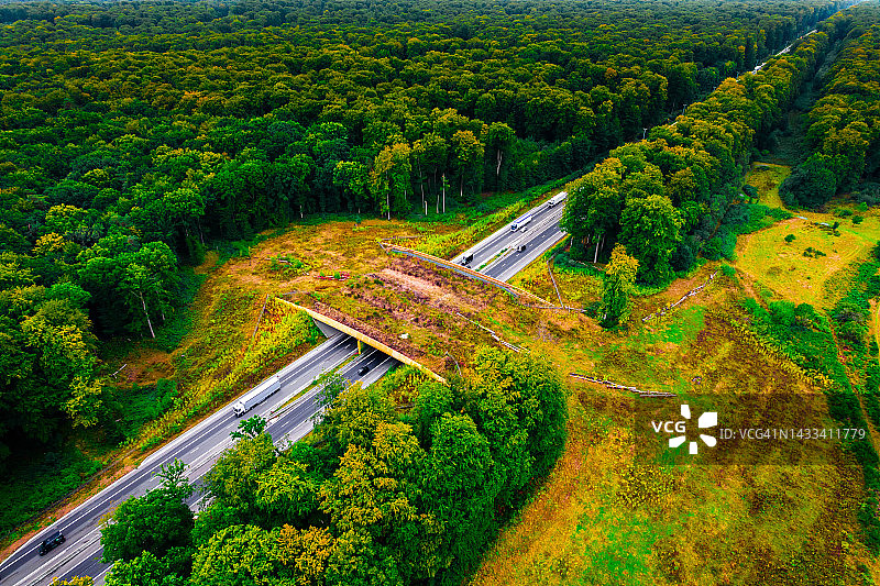 西欧高速公路动物通道绿色桥梁航拍图图片素材