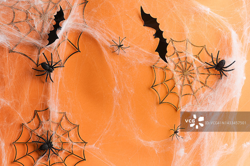 万圣节背景：蜘蛛网、蜘蛛和黑色蝙蝠图片素材