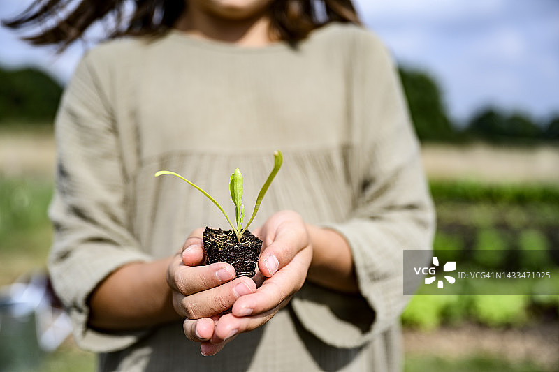 户外肖像，年轻女孩手中的幼苗图片素材